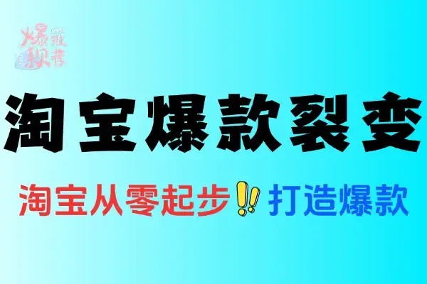 淘宝爆款标品裂变与非标矩阵