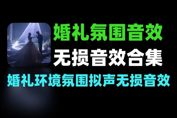 免费婚礼环境氛围拟声过渡无损音效素材合集